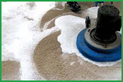 about-greenforet-img