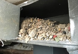 about-greenforet-img